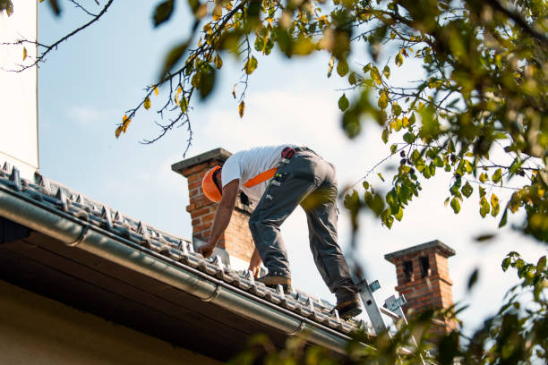 Best Roof Gutter Cleaning  in Edgecliff Village, TX